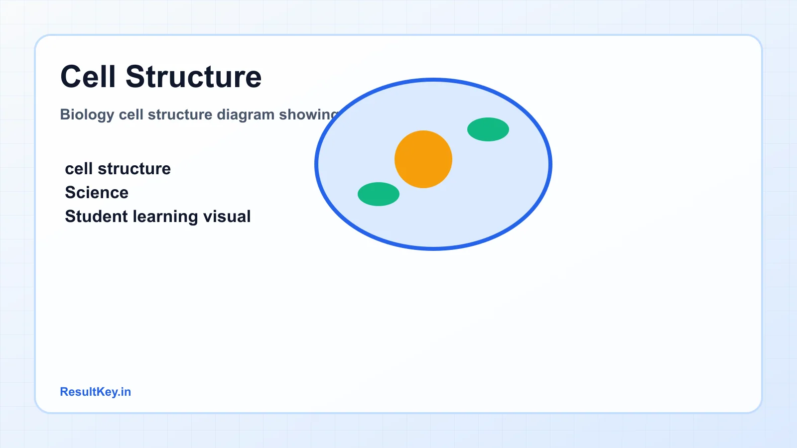 Biology cell structure diagram showing organelles and functions