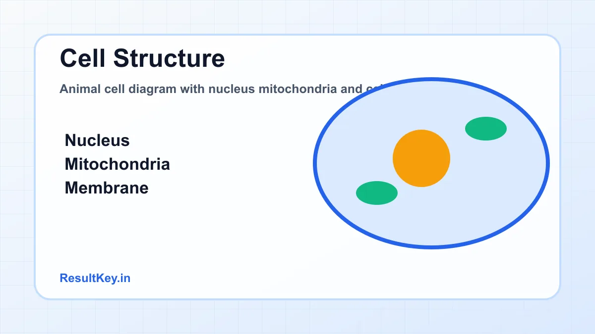 Animal cell diagram with nucleus mitochondria and cell membrane